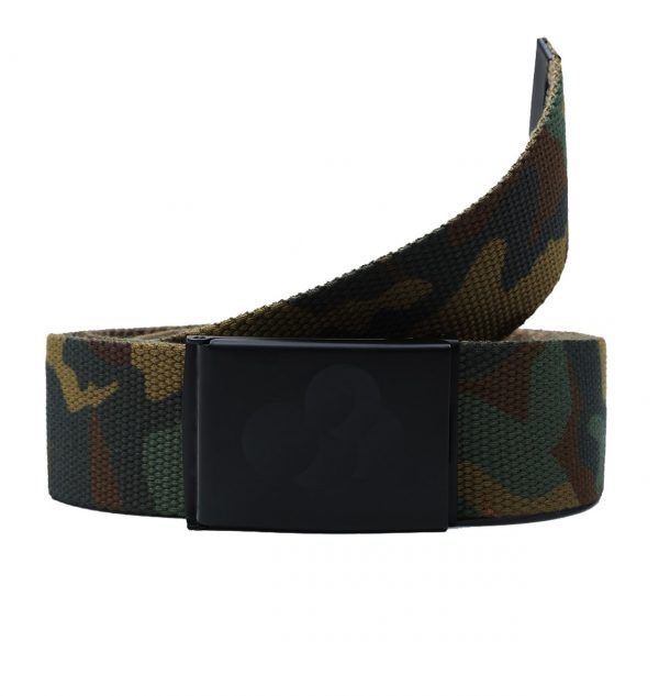 Stretch belt